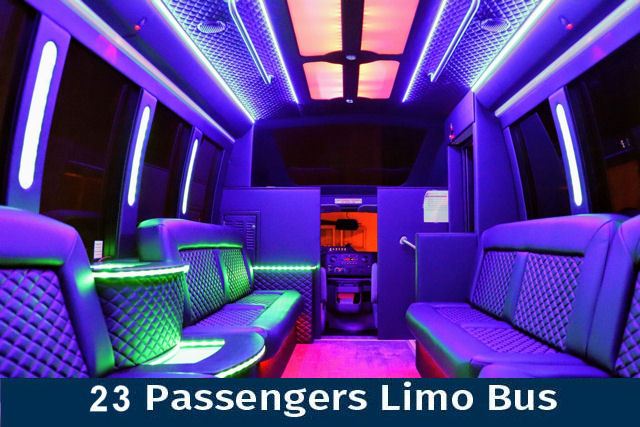14 Passenger Limo Bus Interior